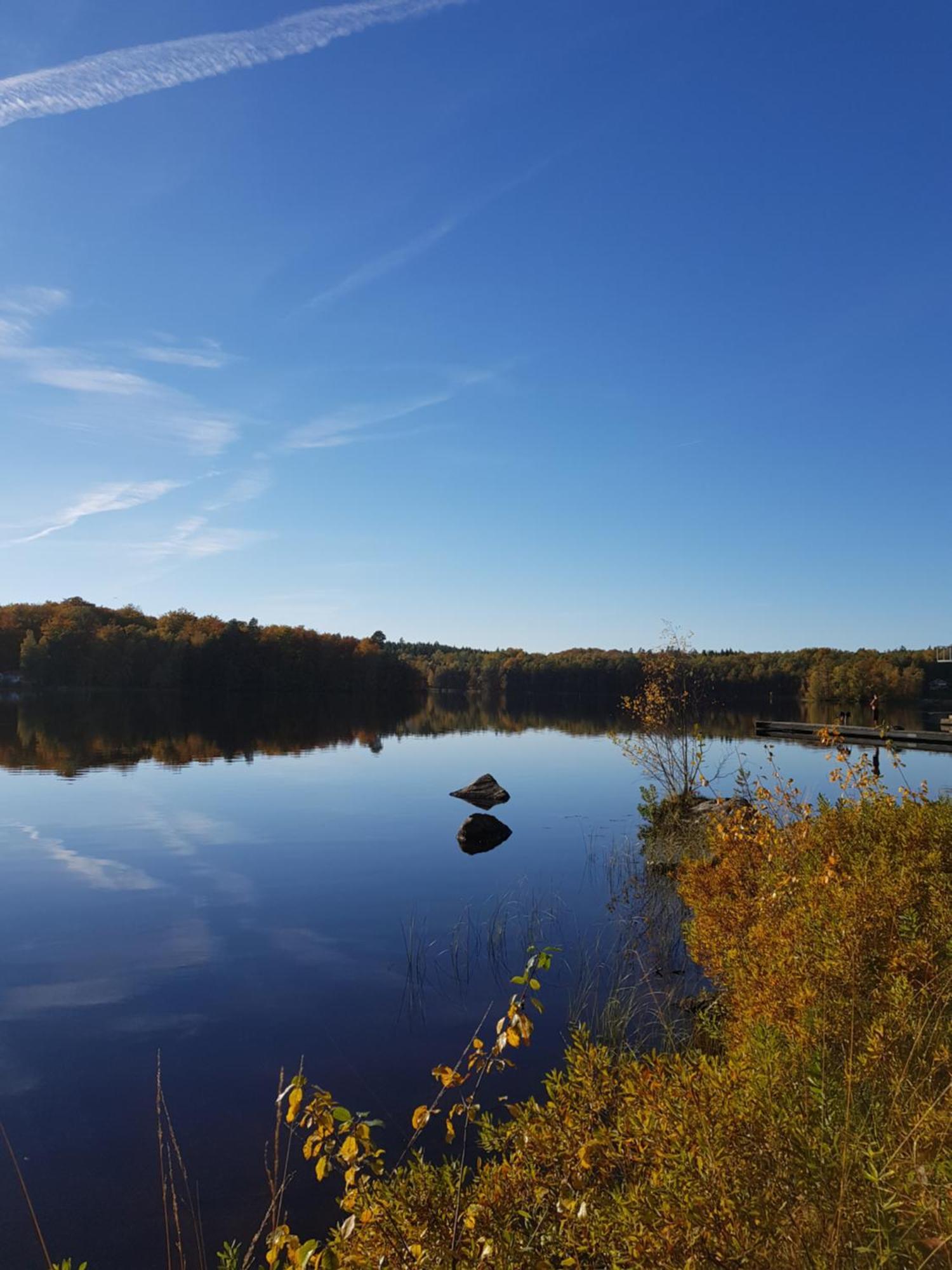 Halens Camping Och Stugby Olofström المظهر الخارجي الصورة