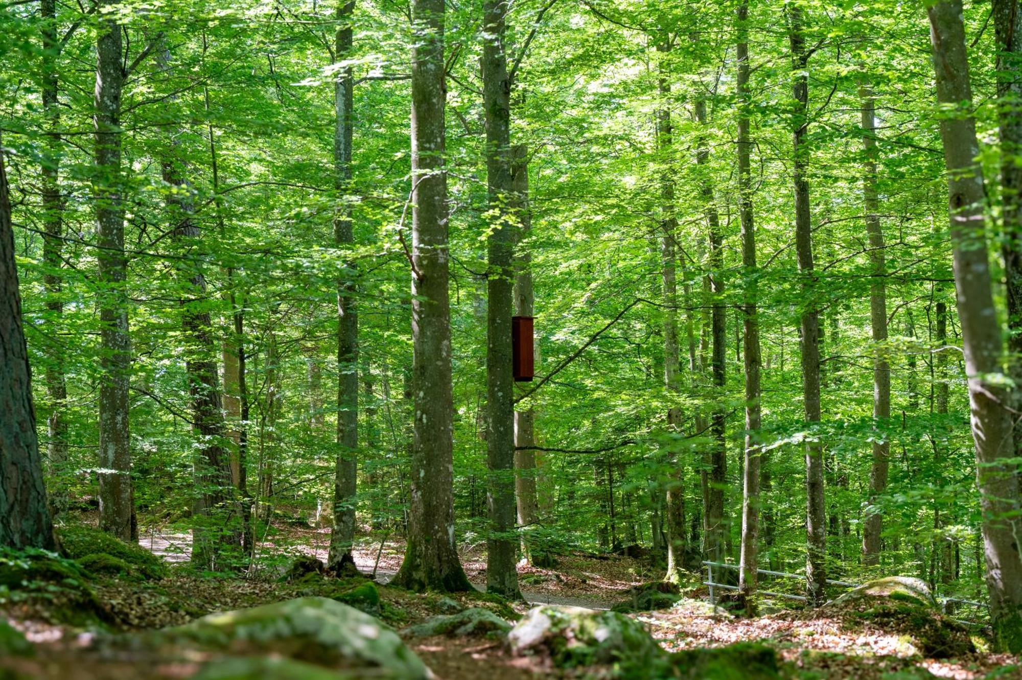 Halens Camping Och Stugby Olofström المظهر الخارجي الصورة
